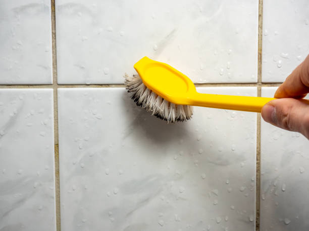 Office Mold Removal Services in Clear Lake, WA