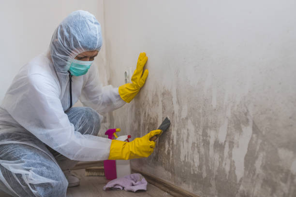 Best Black Mold Removal  in Clear Lake, WA