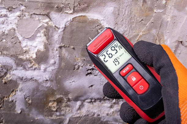 Professional Mold Removal in Clear Lake, WA