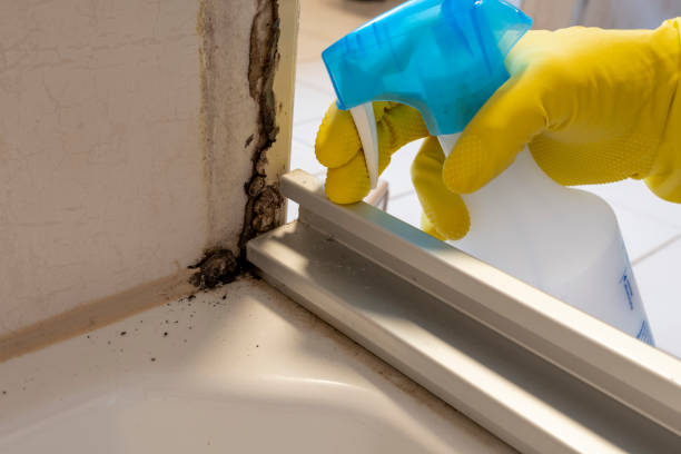 Best Residential Mold Removal  in Clear Lake, WA