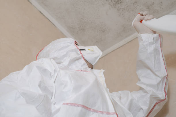 Best Office Mold Removal Services  in Clear Lake, WA