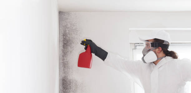 Best Local Mold Removal Service  in Clear Lake, WA
