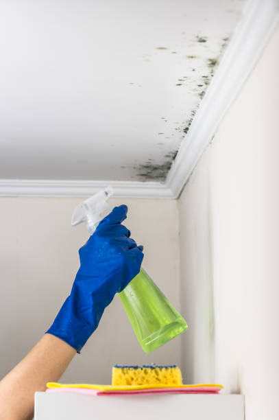 Best Toxic Mold Removal  in Clear Lake, WA