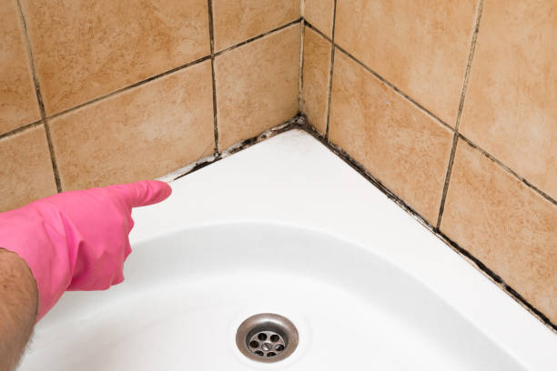 Best Certified Mold Removal  in Clear Lake, WA
